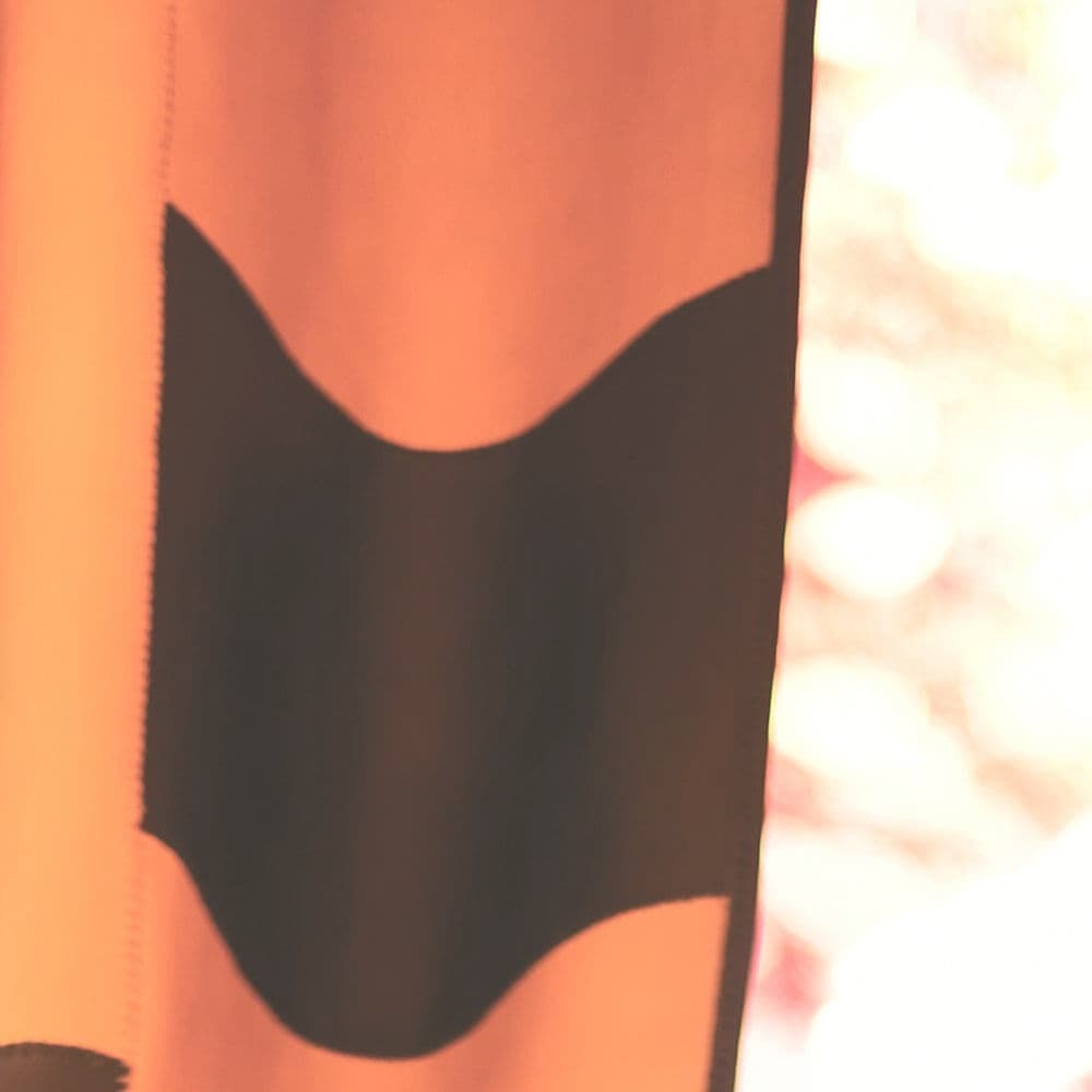 高橋 牧子Leather Curtain / Makiko Takahashi